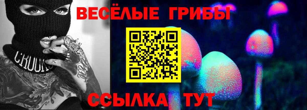 Псилоцибиновые грибы Cubensis  Вход с VPN  Кропоткин 